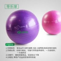 山東三匯 導(dǎo)樂球 分娩球 55cm/65cm 健康分娩