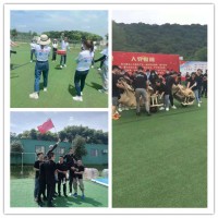 硚口紅色引擎選在哪？那個基地快樂爆棚