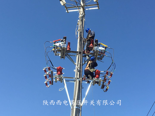 微信圖片_20190414203306_副本