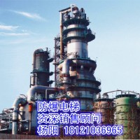 供應湖北省武漢市防爆電梯、煤氣柜電梯