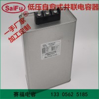 賽福廠家供應 自愈式低壓并聯電容器 電力電容器