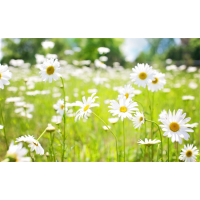 盈亞證券投資期貨投資中虧錢該怎么辦?有人指導炒期貨是騙局嗎?