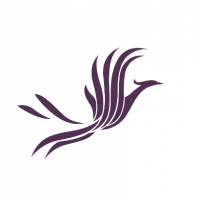 進(jìn)口66號(hào)全精煉石蠟