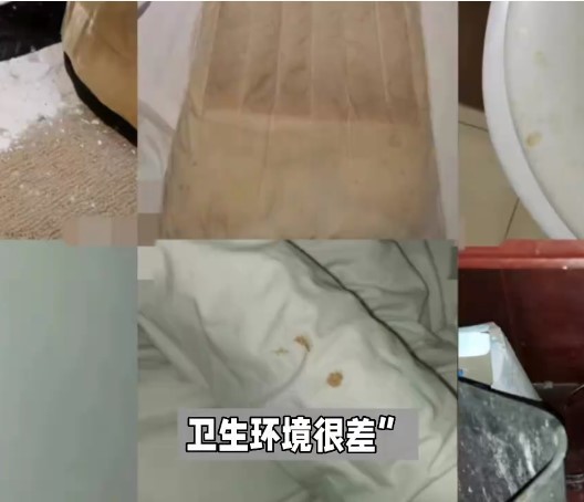 上海返鄉大學生被強制交高價隔離費,家鄉“溫暖”去哪了