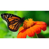 俄羅斯進口食品.中俄邊境商品.俄羅斯商品.中俄貿易.俄羅斯