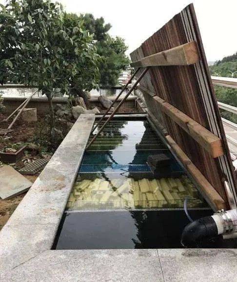 1671872158569156.jpeg 1.jpeg