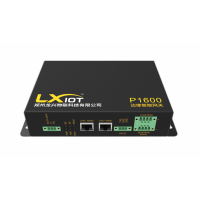 龍興物聯邊緣計算網關 P1600