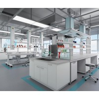 潔凈工程動物房實(shí)驗(yàn)室凈化工程