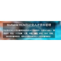 HCM人才管理系統(tǒng)_HCM人才管理軟件