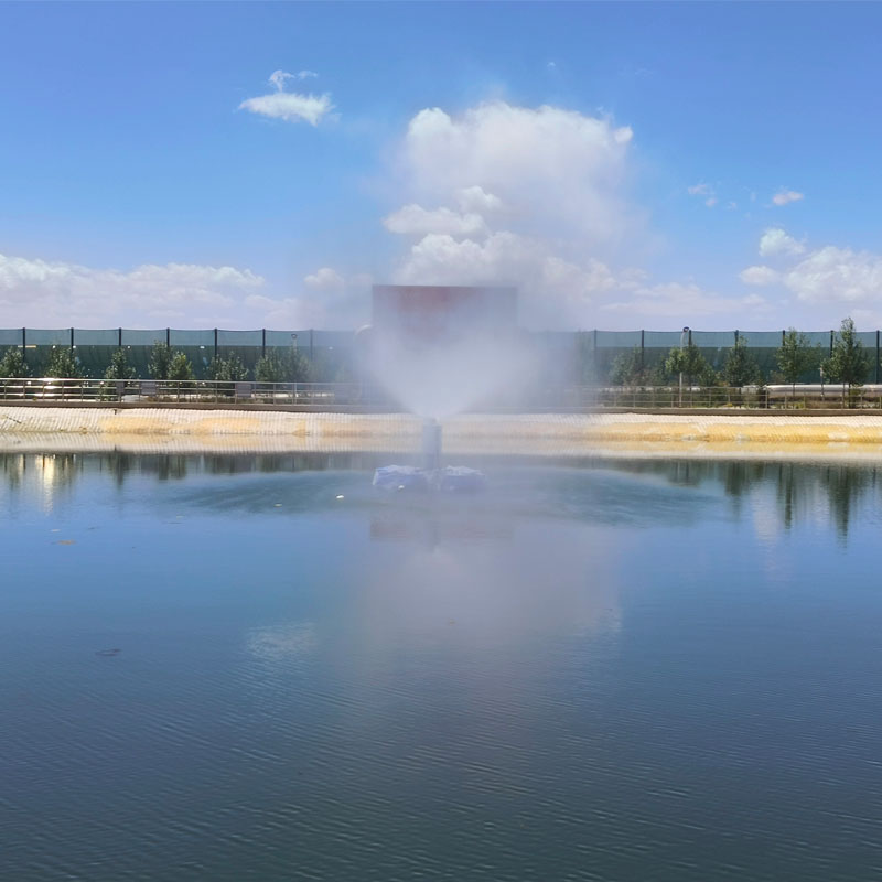 漂浮式蒸發器 (6)